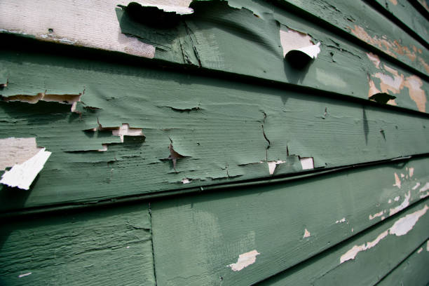 Best Recycling Services for Junk  in Woodland Park, NE